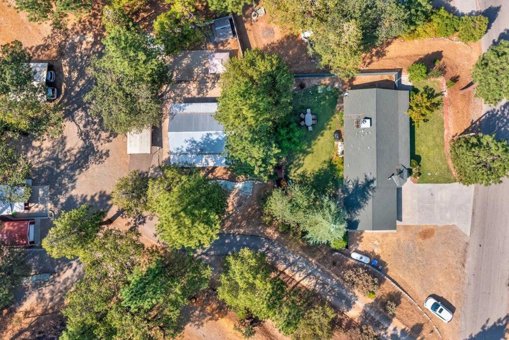Acorn House - Charming House In Green Heaven With Pool Table With Lovely Backyard Oakhurst Dış mekan fotoğraf