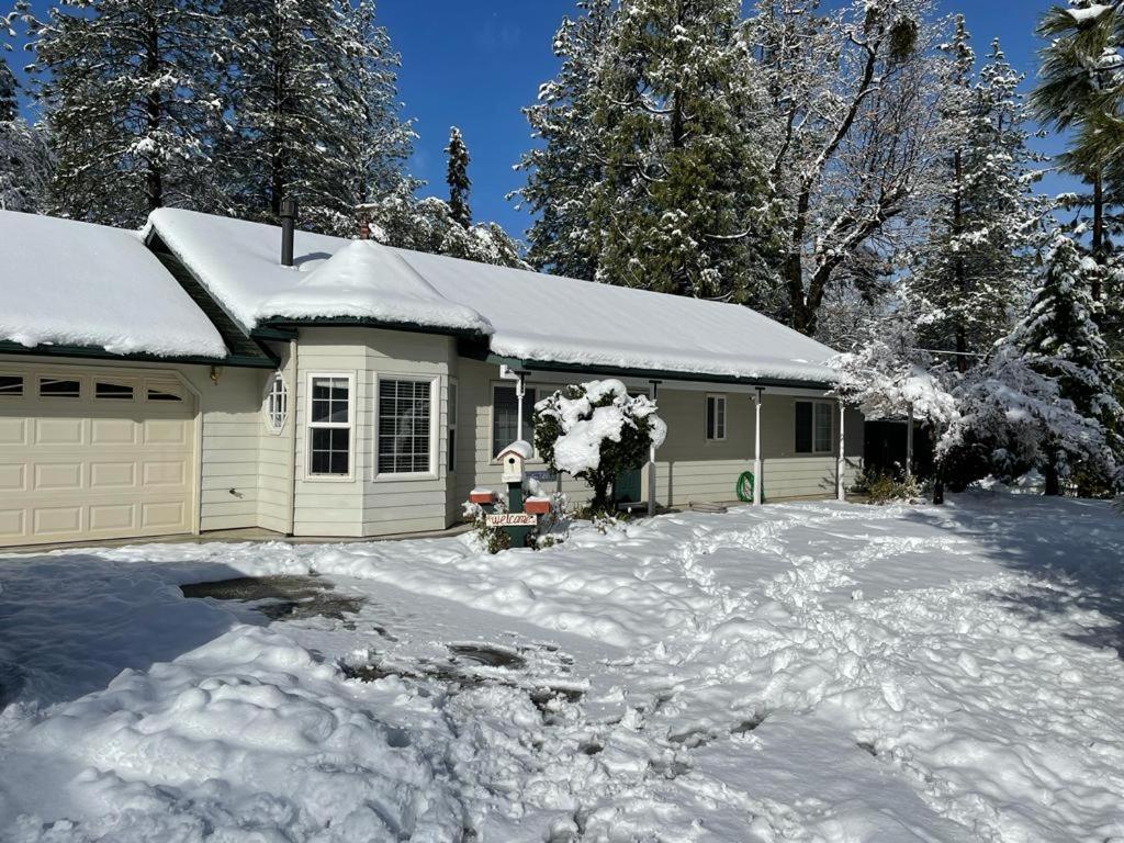 Acorn House - Charming House In Green Heaven With Pool Table With Lovely Backyard Oakhurst Dış mekan fotoğraf